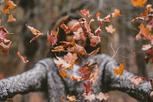 podzimní fotografické nápady pro instagram - dívka hází listí v lese