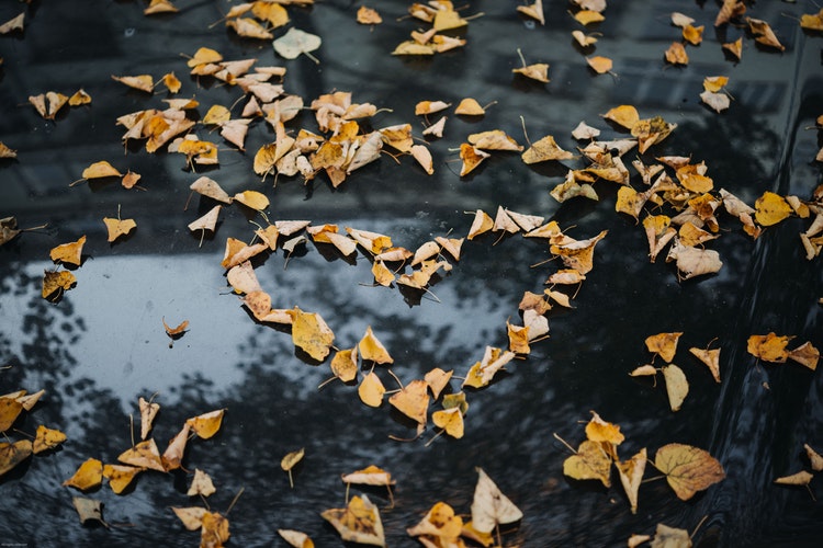 Podzimní fotografické nápady na Instagramu - srdce listů