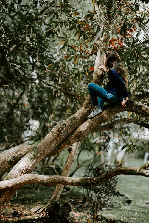 podzimní fotografické nápady pro instagram - dívka na stromě