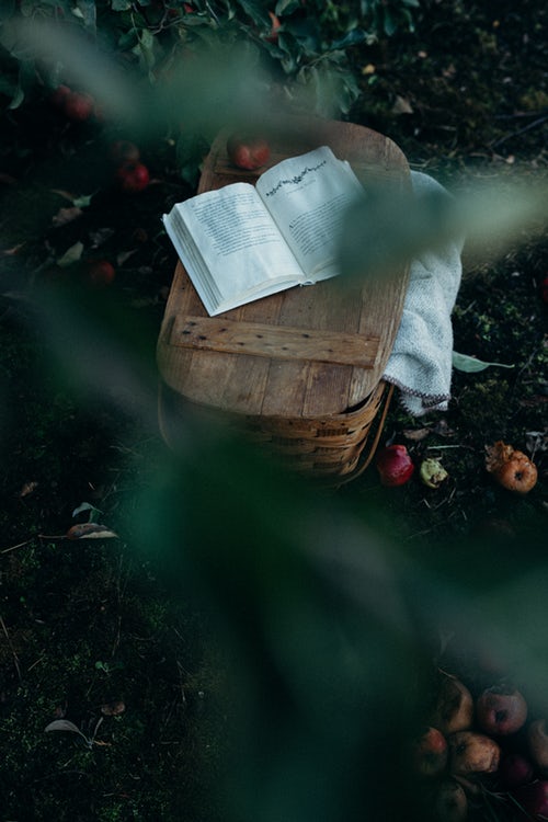 Podzimní fotografické nápady pro Instagram - pikniková kniha